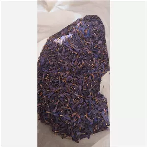 گل گاو زبان برزک کاشان