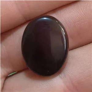 نگین شفت العبد 