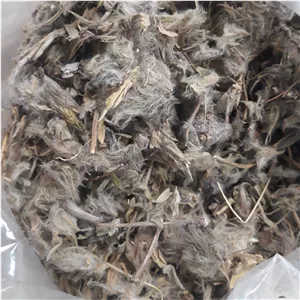 چای کوهی اعلا 