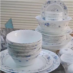 آرکوپال فله گل آبی دیس متوسط بیضی ارسال رایگان اصل ارسالش رایگانه قیمت قبلا هست با چو پنبه وضربه گیر دوساعت هم پای بس