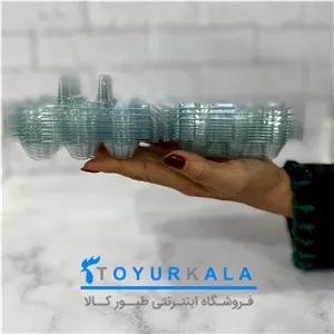 پک 780 تایی 12 خانه ای بسته بندی تخم بلدرچین 
