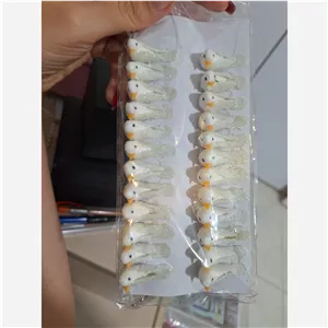 کبوتر سایز کوچک( بچه ) گیفت