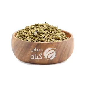 رازیانه (100گرم500گرم1 کیلو)