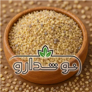 کندر دودی (کندر آتشی) 10 گرمی (پسکرایه)