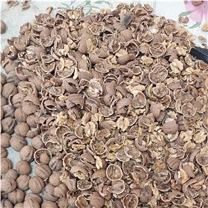 گردو با پوست خوانسار
