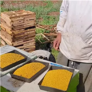 گرده گل خالص یک کیلویی ارسال رایگان مرتع زنبورستان ماهور فوق ارگانیک  اعلا درجه کیفی +++ A تنوع رنگدانه گیاهی 