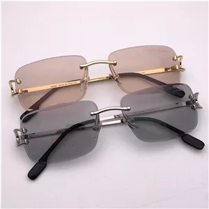 عینک فتوکرومیک از Cartier
