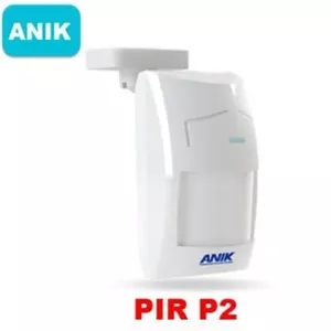 چشم دزدگیر آنیک P2