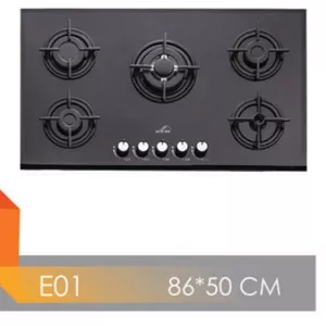 گاز مستر هوم. E01