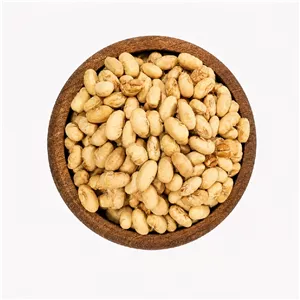 سویا آجیلی