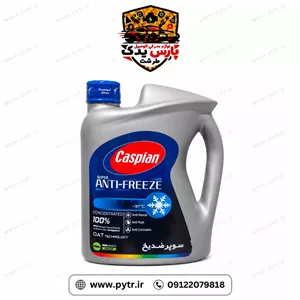 ضدیخ خودرو کاسپین مدل چهارفصل مقدار 2 کیلوگرم(غلیظ) قیمت و خرید آنلاین