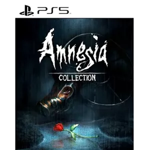 خرید اکانت قانونی Amnesia Collection برای PS4 و PS5