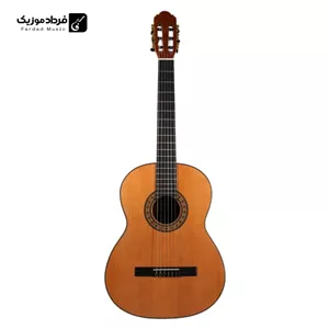 گیتار کلاسیک پارسی مدل M7