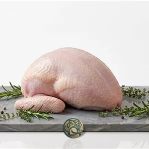 سینه بوقلمون با کتف