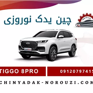 زه دور گلگیر عقب راست فونیکس تیگو 8 پرو