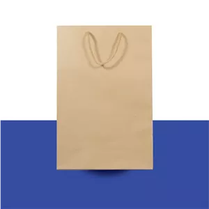 بگ فروشگاهی کرافت آماده
