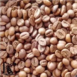 دان روبوستا اندونزی