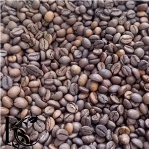 میکس 80 درصد روبوستا