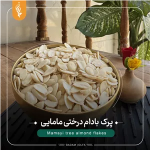پرک بادام درختی مامایی