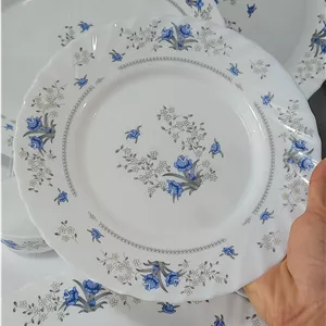 برنج خوری گل آبی آرکوپال پارس اوپال رمانتیک پارس ۲۵۰