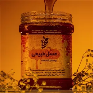 عسل آویشن طبیعی و خالص کوهستان (نیم کیلوگرم)