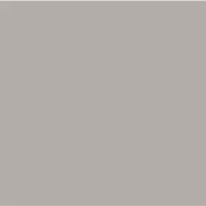 فون کاغذی برای عکاسی(NEUTRAL GREY04)