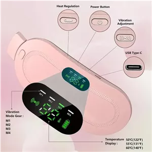 ماساژور برقی شکم و کمر مدل WBC -2731-WORLDBEAUTYCARE