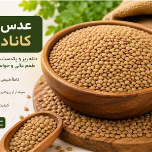 عدس ریز کانادایی وزن 1000 گرم
