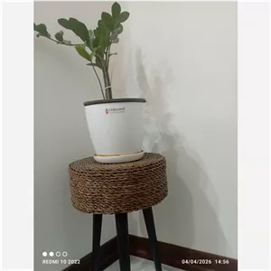 پاف حصیری سی سانت،،ارتفاغ45 مبلمان فرنا مدل 1104309