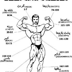 دانلود کتاب بدنسازی برای همه (آموزش تصویری)