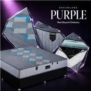 تشک دریم لند مدل پرپل (Purple)