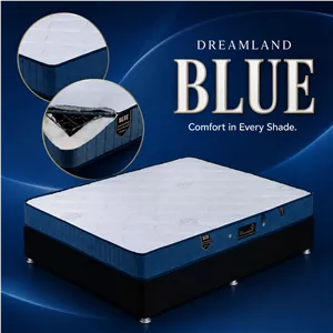 تشک دریم لند مدل بلو (Blue)