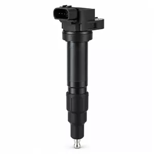 کویل بسترن B30
