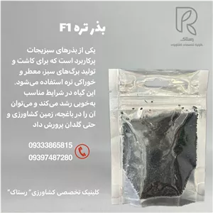 بذر تره شادگانF1
