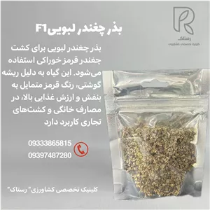 بذر چغندر لبویی F1