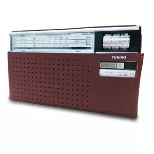 رادیو FM، SW، AM فپه مدل FP-1823BT دارای پورت USB