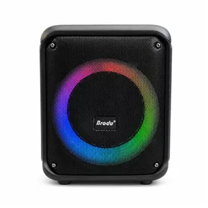 اسپیکر بلوتوثی برودو مدل BTS-2339