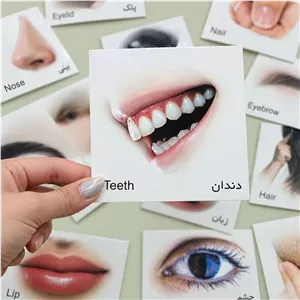 کارت پازل اعضای بدن (20 کارت)