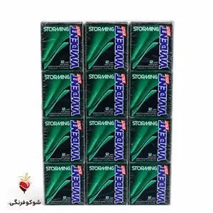 آدامس ویویدنت استورمینگ نعنا ۳۳ گرمی ۱۸ عددی (بسته ۱۸ عددی)