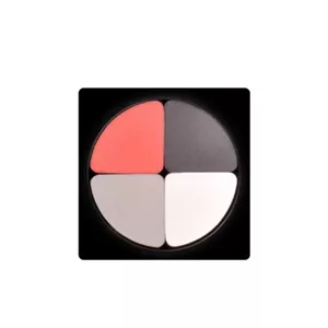 سایه چشم چهار رنگ کریستال لاکچری کوین شماره 604Luxury Coin Crystal 4-Color Eyeshadow 604