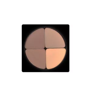 سایه چشم چهار رنگ کریستال لاکچری کوین شماره 601Luxury Coin Crystal 4-Color Eyeshadow 601