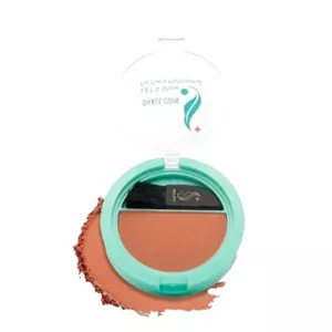 رژگونه شال کوین شماره 405Shall Coin Highlighter 405