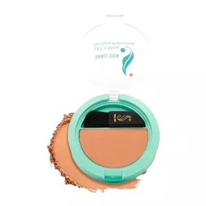 رژگونه شال کوین شماره 401Shall Coin Highlighter 401