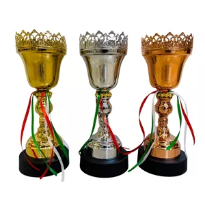 کاپ قهرمانی (جام قهرمانی) 31 سانتی اعلا(خرید قسطی و پس کرایه)