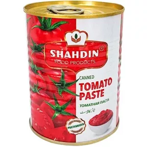 شانی رب گوجه فرنگی قوطی 800 گرمی